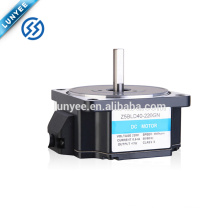 200w 24v 36v 48v low voltage brushless dc gear motor